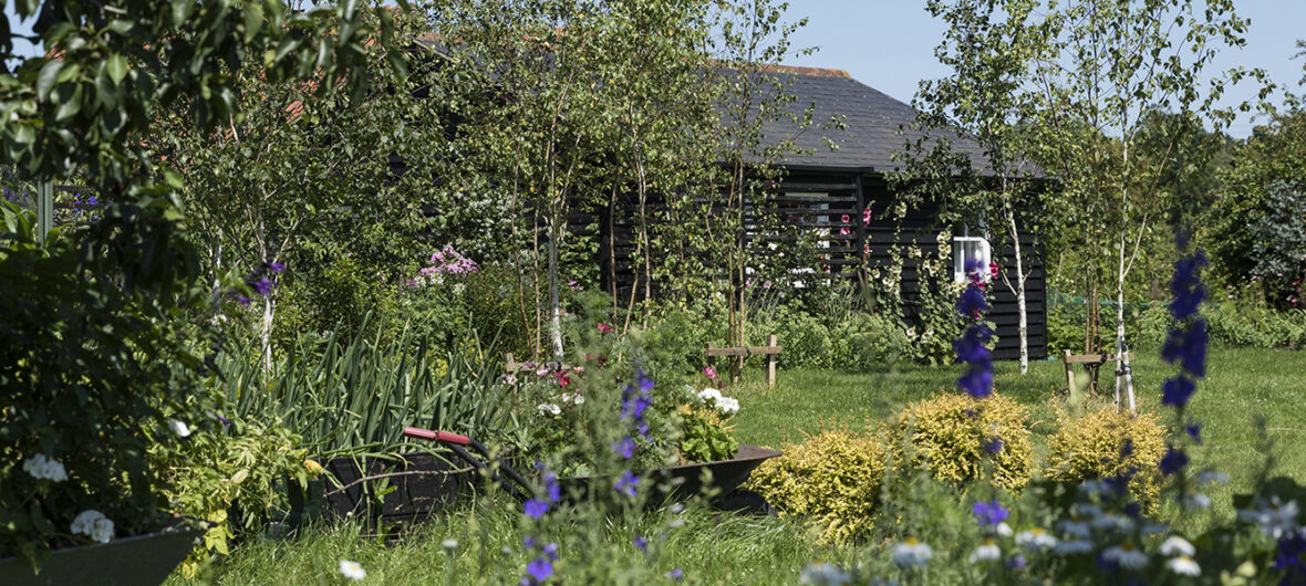 View through a variety of flowers in the garden onto the annexe building.